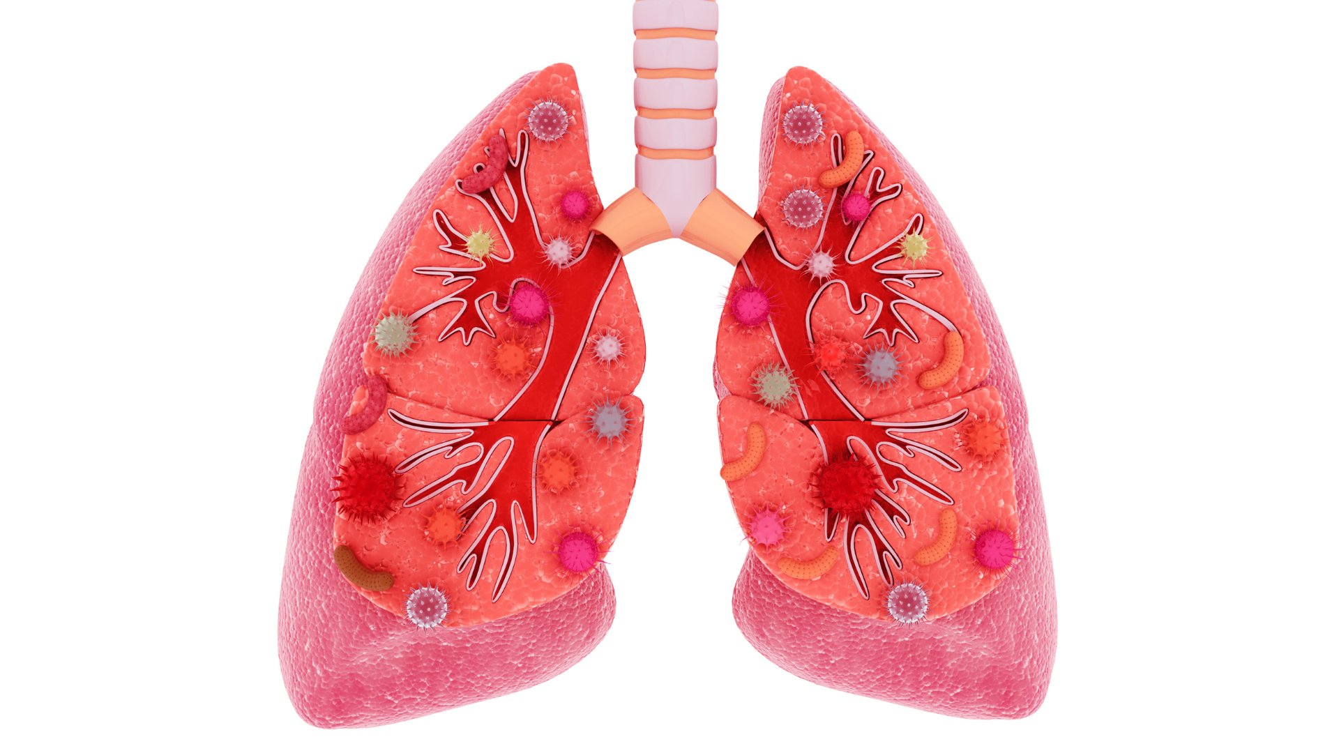 Akciğer Nasıl İyileşir?